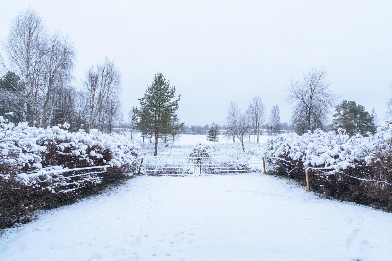 Arctic Loft Rovaniemi Dış mekan fotoğraf
