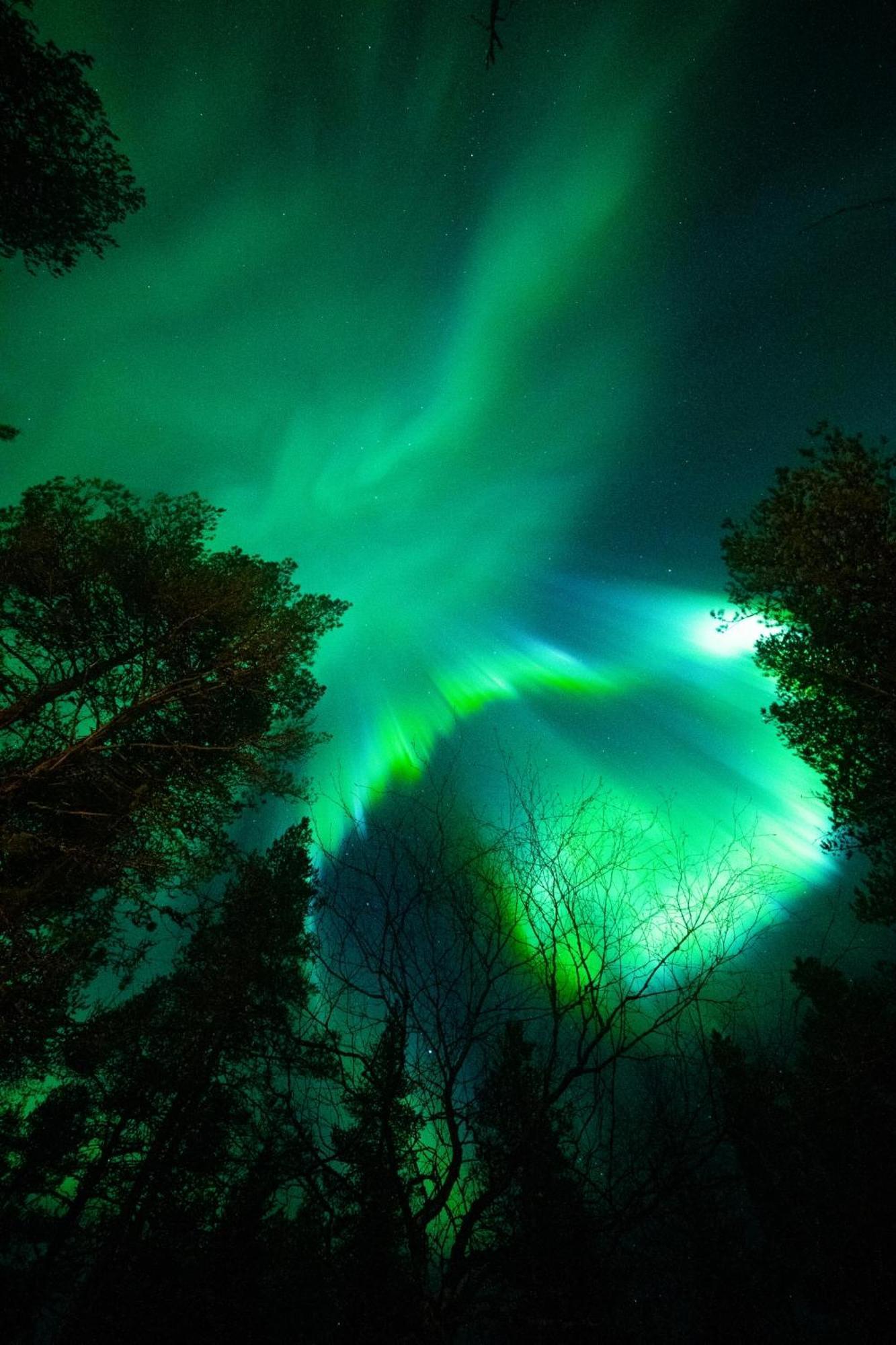 Arctic Loft Rovaniemi Dış mekan fotoğraf